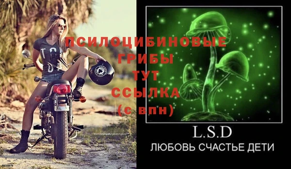 spice Белокуриха