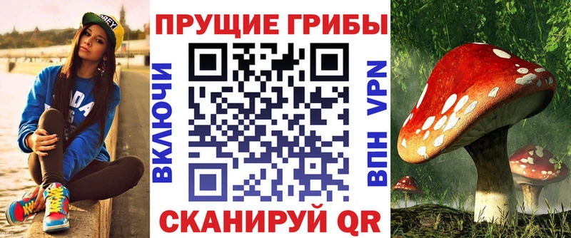 где найти наркотики  Шагонар  Галлюциногенные грибы GOLDEN TEACHER 