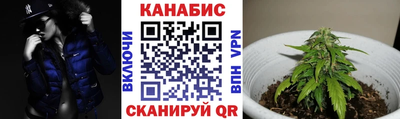 мега ссылки  купить наркотик  Шагонар  МАРИХУАНА семена 
